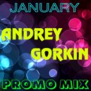 DJ Andrey Gorkin - January Promo Mix 2016