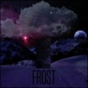 Bullseye - Frost