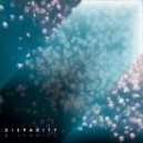 Dizparity - Hash Function (Original Mix)