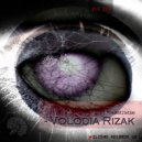 Volodia Rizak - Substitution