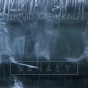 Sanaev - Liquid Gathering Vol.3 ()