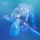 TKDJS Feat. Chrissy Quadros - Rolling