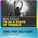 Ben Gold vs. Arnej feat. Sally Saifi - (i\'m in) A State Of You (AmirRizzlan Mashup)