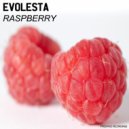 Evolesta - Raspberry
