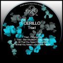 Cerillo, Luca D'Arle - All That You Need