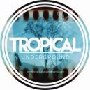 Alonzo - F Tronik (Original Mix)