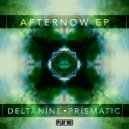 DELTAnine, Prismatic, Soulular - Swampkid (Soulular Remix)