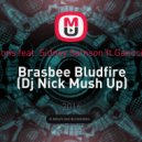 Eva Simons feat. Sidney Samson ft.Gancci, Paniek - Brasbee Bludfire (Dj Nick Mush Up)