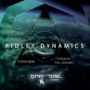 Ridley Dynamics - Terraform