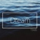 T3reb - Dream
