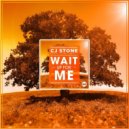 CJ Stone feat. Jonny Rose - Wait Up For Me