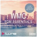 Ivan Martin, Tom Chaos - Shake It Disco