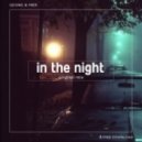Geonis & Mier - In The Night