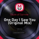 Taste of Sorrow - One Day I Saw You