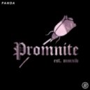 Desiigner - Panda (Promnite Remix)