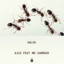 Salva & Mr. Carmack - A.D.D (Original mix)