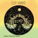 Cut Snake - Echo (Roman Tkachoff Remix)