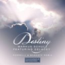 Markus Schulz feat. Delacey - Destiny