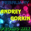 DJ Andrey Gorkin - February Promo Mix 2016