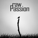 Heavy Anarchy & Onur Ormen - Raw Passion
