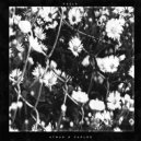 Atman - Feels