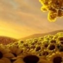 A.R.D.I. & Cynthia Hall - Sunflowers