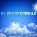 Dj Brain Crinkle - Sky
