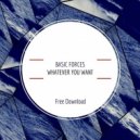 Basic Forces - Whatever You Want (Original mix)