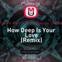 Calvin Harris & Disciples x SMITH - How Deep Is Your Love