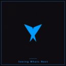 Hollywood Principle - Seeing Whats Next