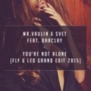 Mr.Vaulin & SVET feat. Barclay - You're Not Alone (Fly & Leo Grand Radio edit 2015)