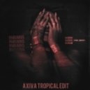 Rihanna ft. Drake - Work (Axiva tropical edit)