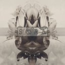 SORA - Birdy
