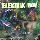 Elektrik Boy - Asylum of the Mad