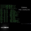Basic Forces - Terminal