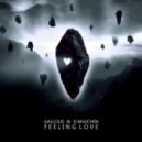 Gallous & D.Anuchin - Feeling Love (Feeper Remix)