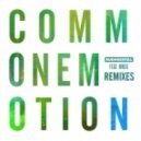 Rudimental Ft. MNEK - Common Emotion (The Golden Pony Remix)