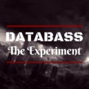 DATABASS - The Experiment