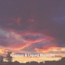 Kozmoz & Liquid Memoirs - Let Go