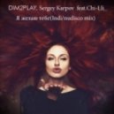 DIM2PLAY, Sergey Karpov feat. Chi-Lli - Я желаю Тебе (Indi / Nudisco Mix)