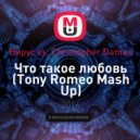 Вирус vs. Christopher Damas - Что такое любовь (Tony Romeo Mash Up)