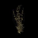 Vassh - Can't See