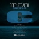Deep Stealth - Mystic Realms (Aural Imbalance Remix)