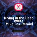 Clouds Testers - Diving in the Deep White