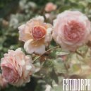 Fatmorph - Garden