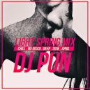 Dj Pun - Light Spring Mix