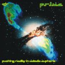 P.R.I.M.E. - Quasar