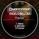 Angelo Bellomo - Purpose