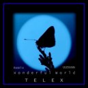 TELEX - Wonderful World (UUSVAN Remix)