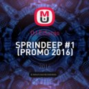 DJ ElSergo - SPRINDEEP #1